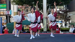 20221029 Koenji Festival Awa Odori Bikkuri Ren 高円寺フェス 阿波踊り びっくり連②