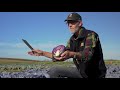 bejo red cabbage winter crop video