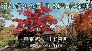 昭和記念公園 日本庭園の紅葉 [4K] Autumn leaves at the Japanese garden in Showa Kinen Park