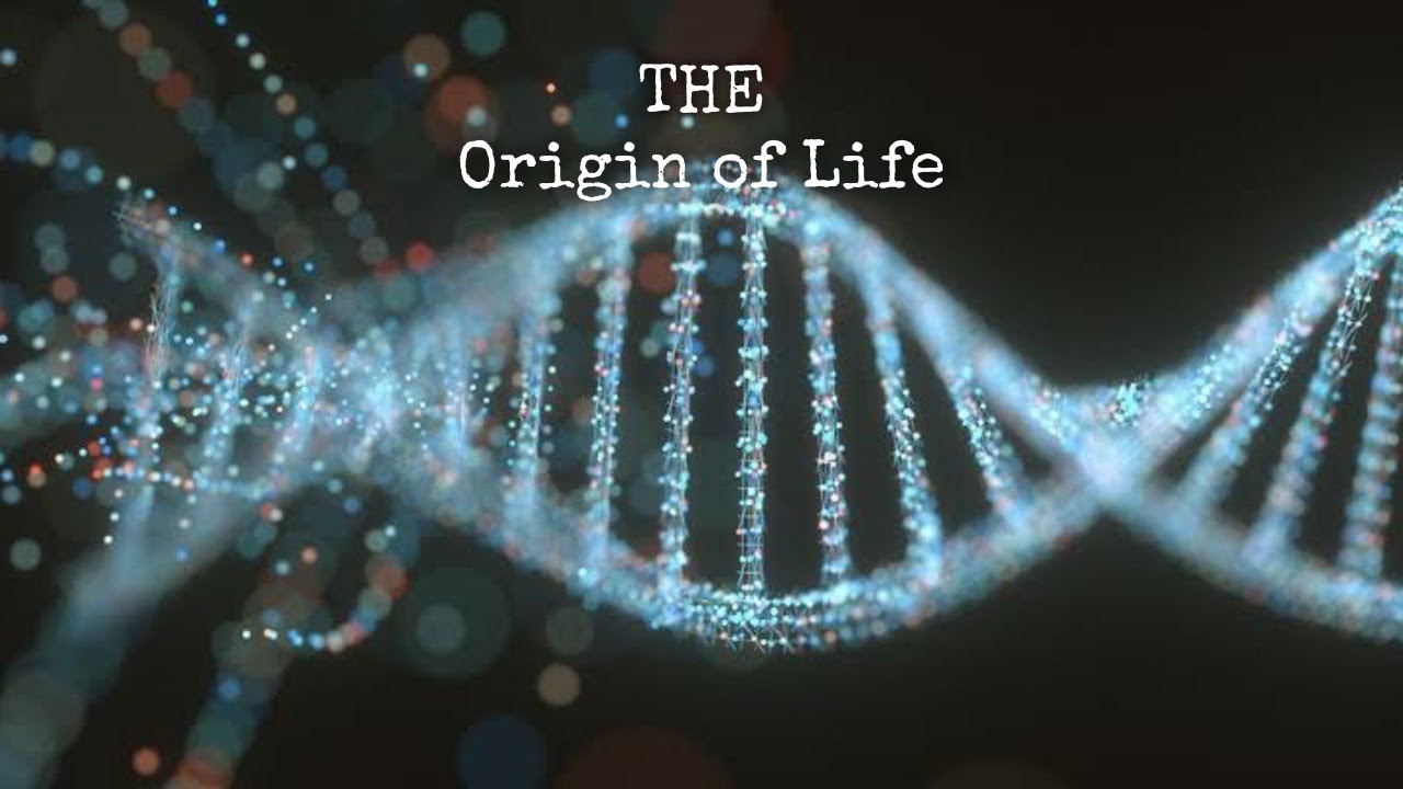 The Origin Of Life - YouTube