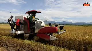 very fast to harvest rice with sophisticated machines