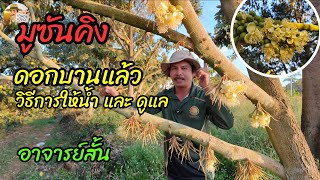 สายมูฯ รุ่นพี่มาถึงหางแย้แล้ว ดอกหลายรุ่นกำลังตามมา ดูแล ให้น้ำ ยังไงดี