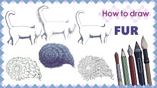 How to draw FUR - Step by Step Art Tutorial