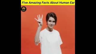 Five Amazing Facts About Human Ear 👂#shorts #readfact #youtubeshorts
