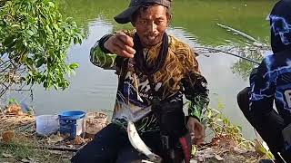 mancing belanak babon muara tlocor sidoarjo