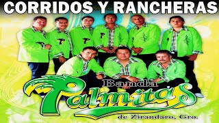 Banda Palmitas De Zirándaro - Corridos Y Rancheras