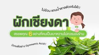 ผักเชียงดา สรรพคุณ 6 อย่างที่คนเป็นเบาหวาน ไม่ควรมองข้าม