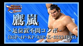 【VFes】Virtua Fighter esports 鷹嵐 - 足位置不問コンボ - (33P･4P+KP･33P+K･63214P+G)