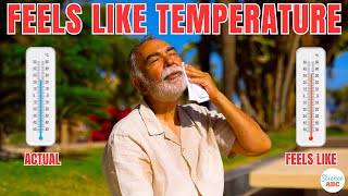 Feels Like Temperature: What It Really Means and How It's Calculated
