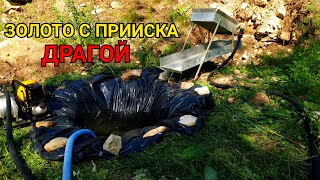 ЗОЛОТО С ПРИИСКА ДРАГОЙ