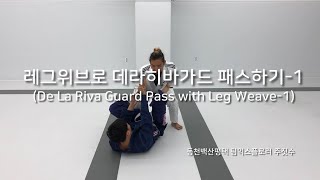 레그위브로 데라히바가드 패스하기-1 [동천백산평택 팀익스플로러 주짓수]