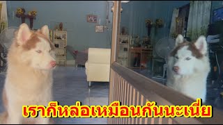 กำลังนอนเว็นแซ่บๆมาเคาะประตูอยู่ได้ทั้งวัน