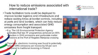 TESSD WG on TrCMs (16 Apr '24): Presentation by WTO Secretariat