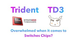 Network equipments chips talking | #1 Broadcom Trident Chipset Series