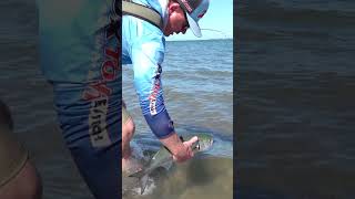 New TT Copperhead spin rods test drive! #fishing #ttfishing #tailor #shorts #fishingrod #lurefishing