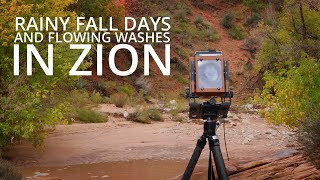 Photographing Flowing Washes | Zion Fall Photography 2022 - Episode 1