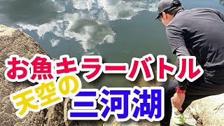 三河湖でお魚キラー対決！ガサガサも！三河湖のハス