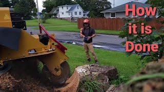 How Tree Stumps Are Removed (Rayco RG55 Stump Grinder Time Lapse)