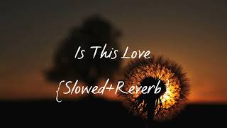Is This Love | Slowed + Reverb | Mohit Chauhan | Kismat Konnection | Sahid Kapoor , Vidya Balan |