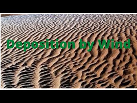 What are wind blown deposits called?