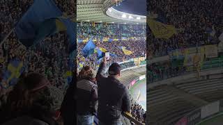 Stadio Bentegodi, Verona. Tribuna Est Superiore