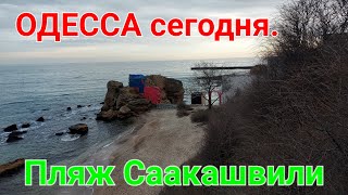 Пляж Саакашвили. Санаторий и пляж Чкаловский.  Одесса сегодня. Семья. Прогулки по Одессе. #зоотроп