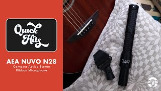 Quick Hits: AEA NUVO N28 Stereo Ribbon Microphone