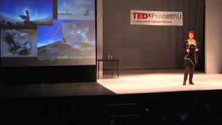 Disruptive cosmology | Renee Hlozek | TEDxPrincetonU