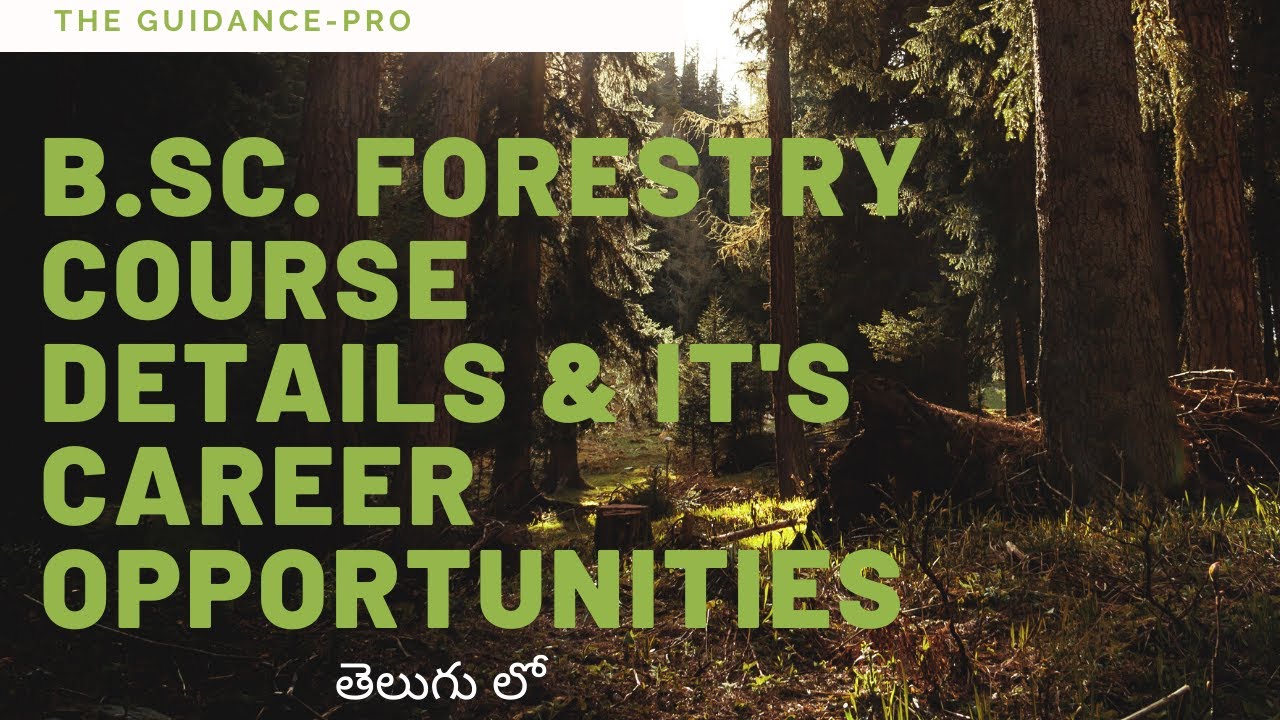 B Sc Forestry Course Details And It's Career Options In Telugu - YouTube