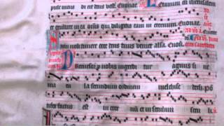 B-Gu Ms 15 Antiphonary #028 f13v