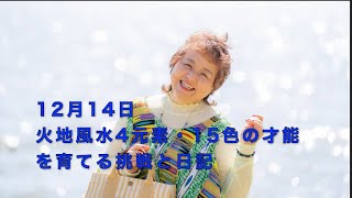 2024.12.14(土)　「フェアリー ゴッドマザー アイズメソッド」 火地風水4元素・ 15色の才能を育てる挑戦と日記