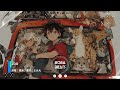 糯米 蛋子 王大大 zoo『我是你的強僅怒 你是我的大蟒鞋』【lyrics video】