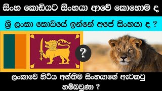 ලංකාවේ හිටිය අන්තිම සිංහයාගේ ඇටකටු  හම්බවුණා | Last lion found in  sri lanka