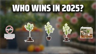 The Top 5 Best Dwarf Peach Trees in 2025 - Must Watch Before Buying!