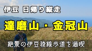 【登山】達磨山・金冠山/駿河湾の絶景を見ながらの山歩き最高でした！～伊豆稜線歩道、日帰り縦走～