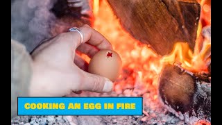 How to Cook Eggs in a Fire - Easy Outdoors Cooking