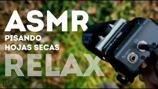 ASMR PISANDO HOJAS SECAS EN EL PARQUE (SONIDOS MUY SATISFACTORIOS Y RELAJANTES)