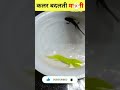 कलर बदलती मछली color changing fish colorful fish rainbow eel machhali jal ki rani hai song shorts