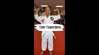 Preparing our Little Warriors with our Tiny Tiger Oath - Karate Atlanta Marietta