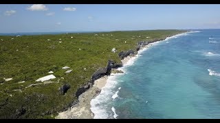 Surfer's Beach-Todd Vendituoli-LIFE in Eleuthera #755