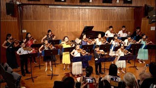 The Blue Danube Violin Ensemble