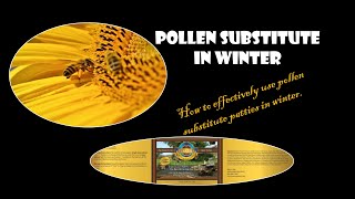 Pollen Substitute in Winter