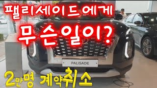 팰리세이드 계약고객 2만명 무더기 계약취소?! 팰리세이드에게 무슨일이?