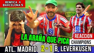 ATL. MADRID 2 vs B. LEVERKUSEN 1 - / BENFICA 4 vs BARCELONA 5 / Reacciones de Hinchas / CHAMPIONS