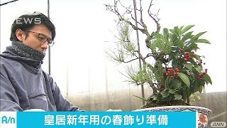 皇居で「春飾り」の準備が大詰め　伝統の正月用盆栽(16/12/27)