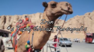 Iran | #5 Prawdziwa Persja - Yazd, Shiraz, Persepolis