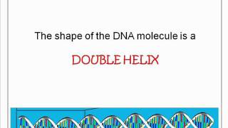 GS - Module 9 - Part 1.wmv
