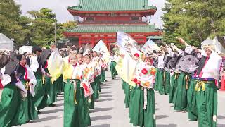 [4K] 同志社大学よさこいサークル「よさ朗」　京都さくらよさこい 2023 さくよさ 2日目 神宮道スペシャルステージ　パレード演舞