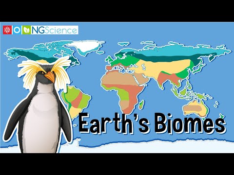Which of the following biomes has the lowest annual precipitation?