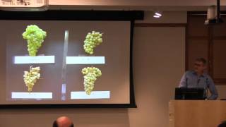 Stefano Poni: Physiology and application of grape leaf removal techniques …